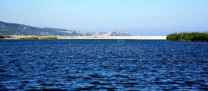 撒丁岛 海滩 自然 海湾 旅行 意大利 风景 阳光 全景