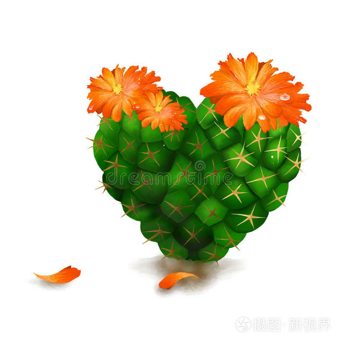 白色背景可爱的心形仙人掌