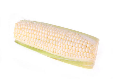 白玉米植物图片