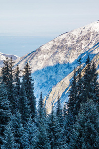 哈萨克斯坦阿拉木图附近的冬季山脉