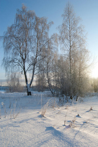 冬季雪景