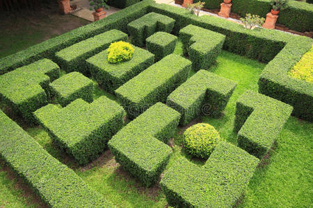 花园迷宫照片