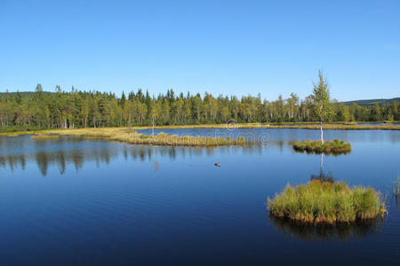 波希米亚森林国家公园的湖泊