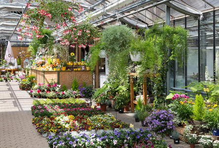 花园中心在温室里卖植物