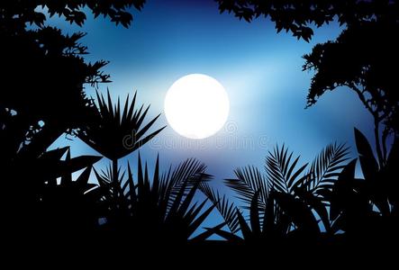 蕨类植物剪影图片