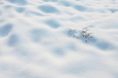 小树枝出现在雪地上