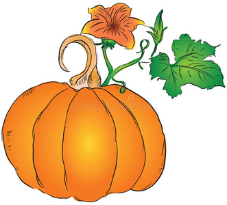 原味南瓜子图片-原味南瓜子素材-原味南瓜子插画-摄图新视界