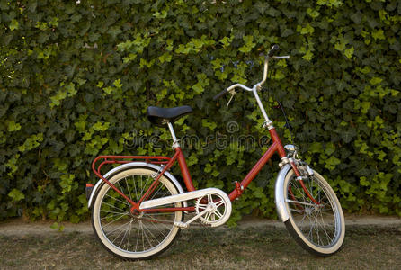 意大利复古风格复古自行车,意大利风格照片