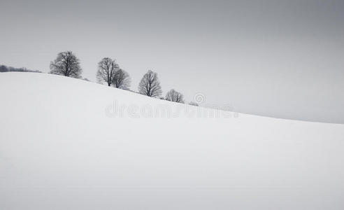 简单的冬季景观