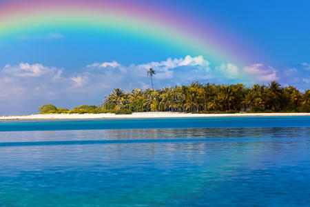 岛上有棕榈树和彩虹
