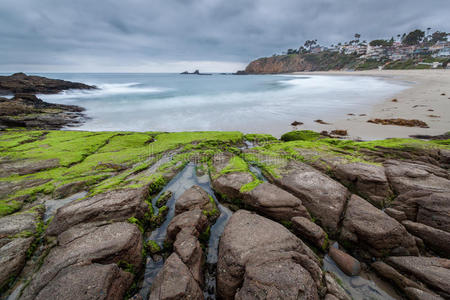 布满苔藓的破碎海滩岩石