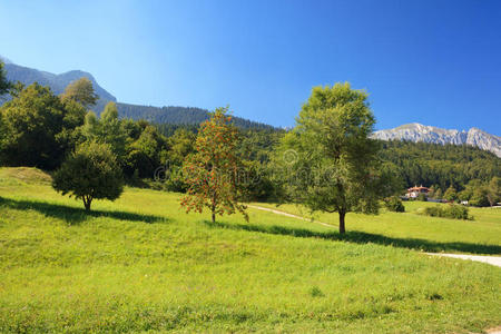 高山景观