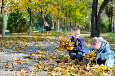树叶 复制空间 兄弟 收集 男孩 公园 童年 女孩 娱乐