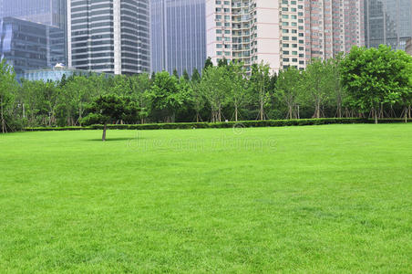 中国青岛的草坪