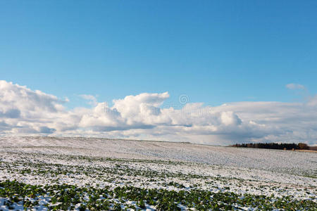 白色的田野和多云的天空。
