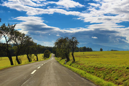 景观道路