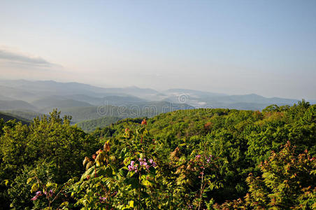 蓝岭公园山