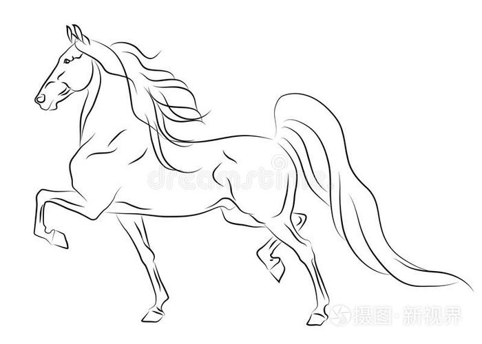 跑马美国马鞍小品