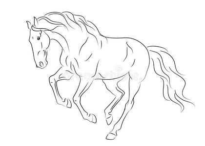 奔跑安达卢西亚马素描照片