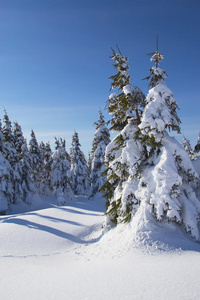 冬季雪景