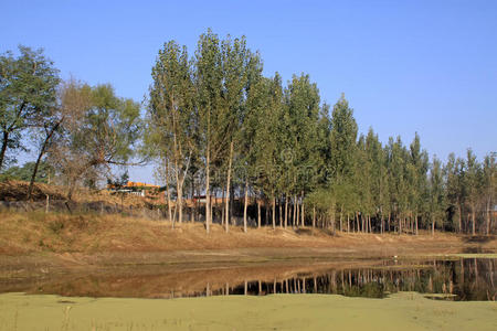 乡村自然风光图片