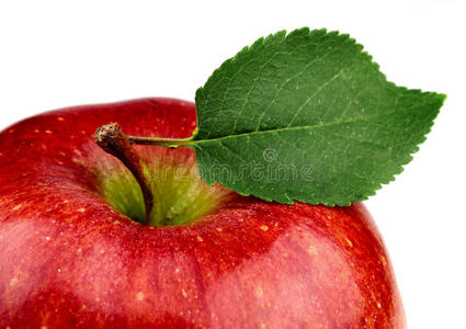 叶子特写的苹果
