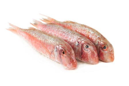 烤的红鲻鱼图片