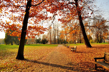 秋季公园