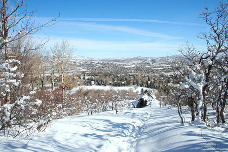 公园城市雪景图片