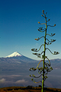 厄瓜多尔科托帕西火山。