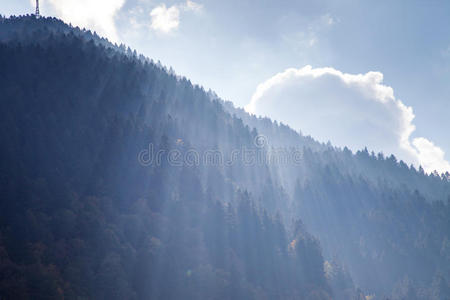 植物区系 风景 乡村 美丽的 国家 草地 颜色 高地 季节