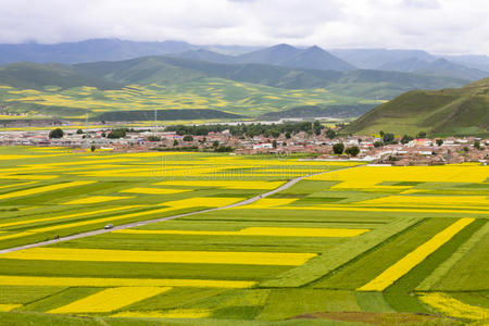 美丽的中国乡村风光图片
