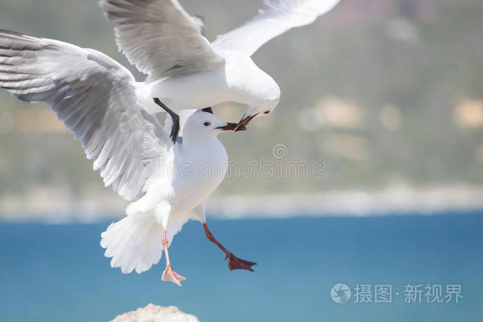 爱就在空气中