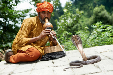 印度的蛇精