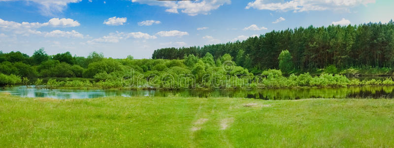 河流和森林的全景图