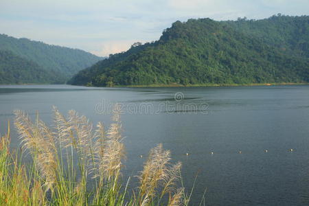 水力发电 高的 权力 森林 行业 自然 水力 风景 能量