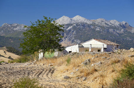 农业 房子 情景 建筑 安达卢西亚 草地 西班牙 生活 乡村