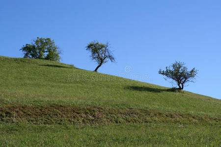 山地景观