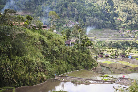 菲律宾吕宋岛巴纳尤山水稻梯田