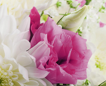 白色和粉色花朵的花束图片