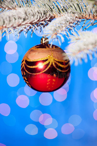 枞树枝上的圣诞球