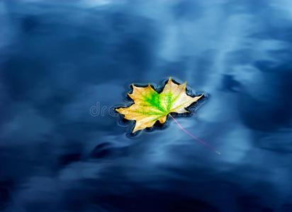 水上秋枫叶