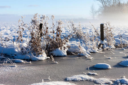 雾中飘雪