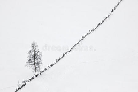 树木和木栅栏的冬季场景