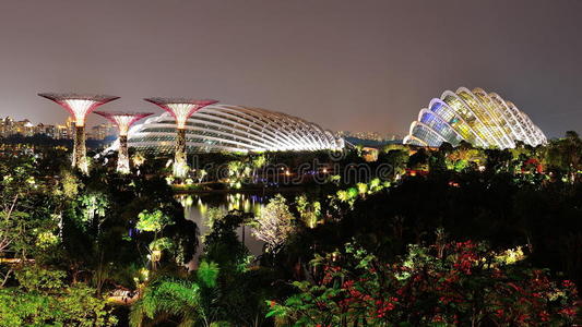 夜晚海湾旁的花园