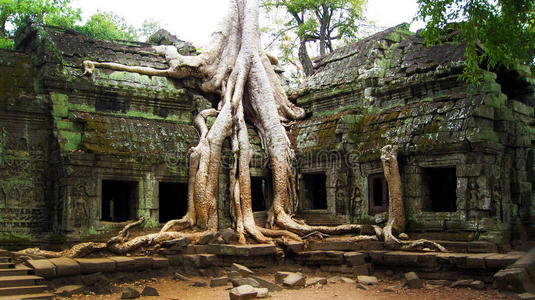 柬埔寨暹粒塔普伦寺古代吴哥窟