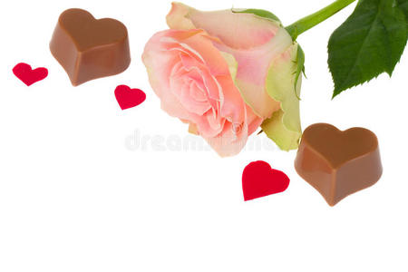 巧克力 玫瑰 颜色 情人 复制 甜的 粉红色 开花 食物