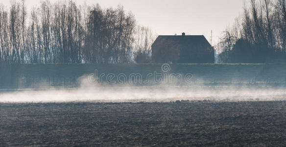 清晨的薄雾笼罩着犁过的田地图片