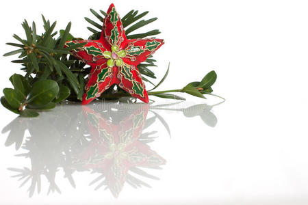 白色星型圣诞装饰品和常绿植物图片