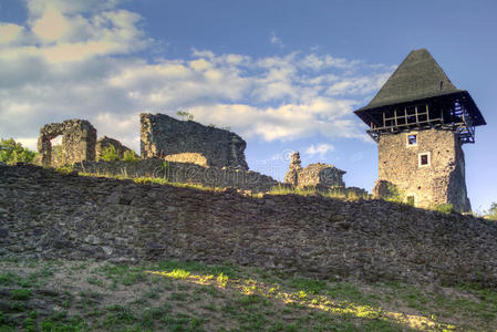 奈维茨基城堡遗址